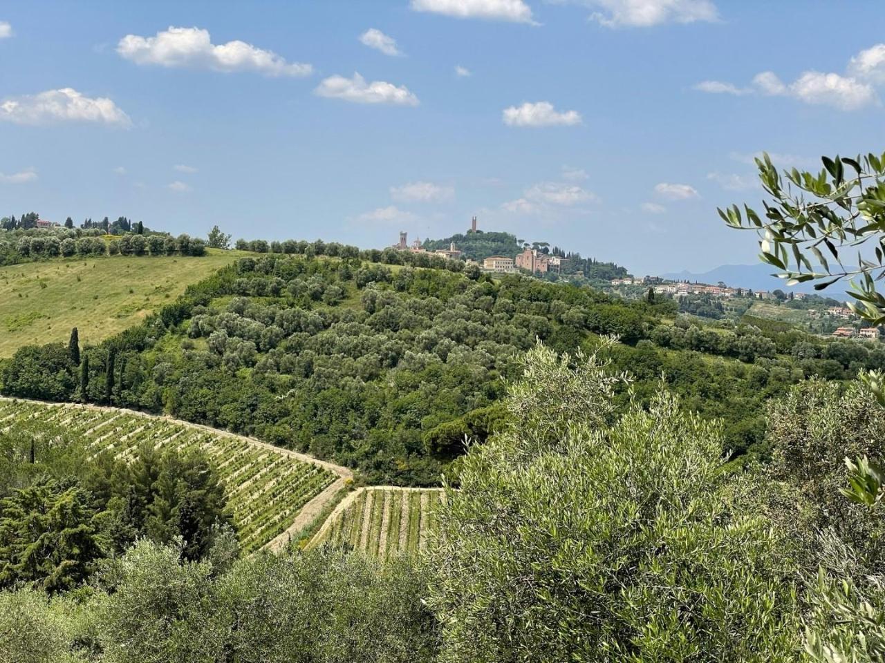 Azienda agricola in , San Miniato, {3} - Foto 1