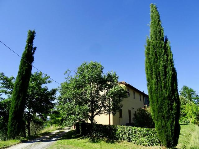 Casale, Palaia - Foto 1