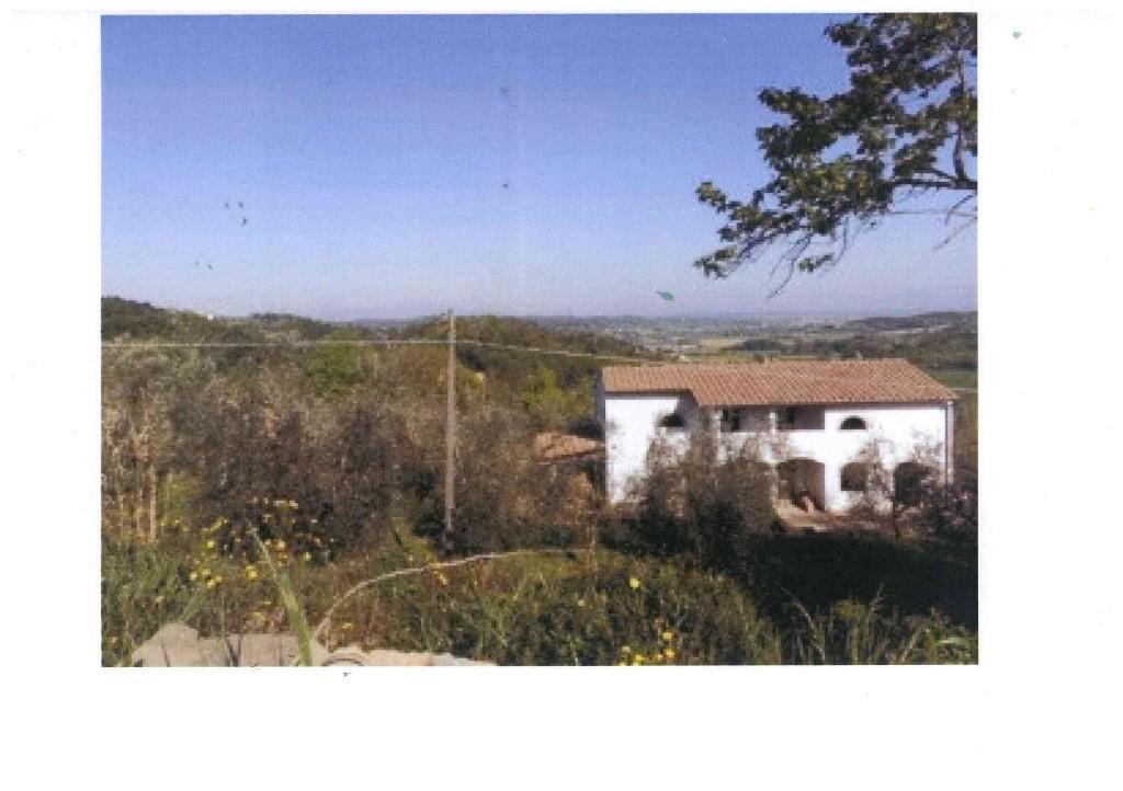 Azienda agricola in , San Miniato, {3} - Foto 1