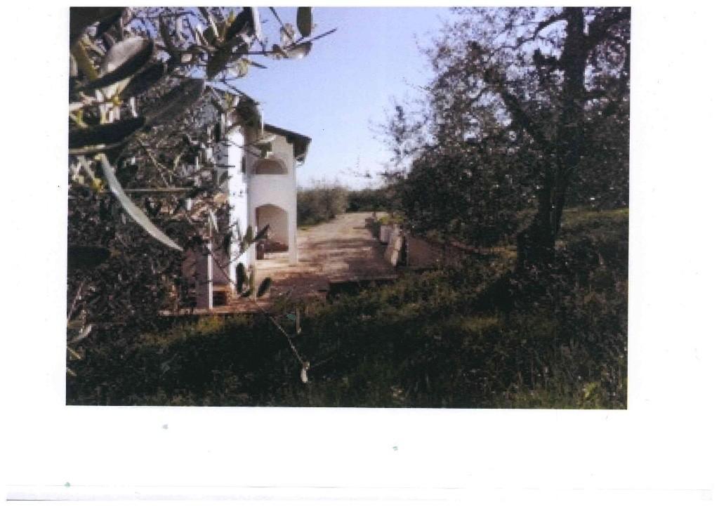 Azienda agricola in , San Miniato, {3} - Foto 2