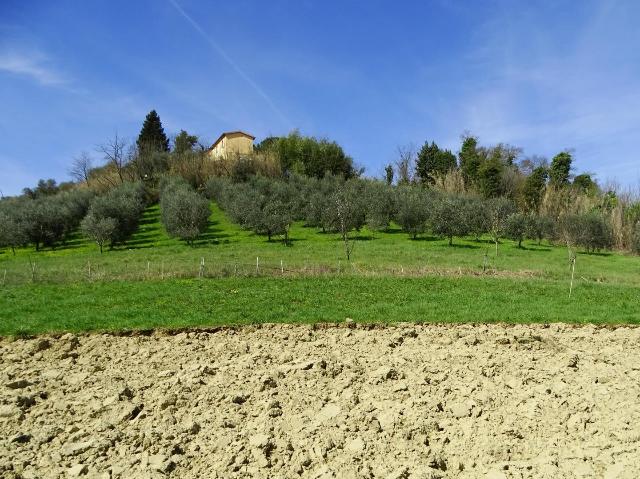 Einfamilienhaus, San Miniato - Foto 1