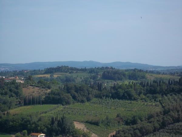 Terreno agricolo in {3}, - Foto 1