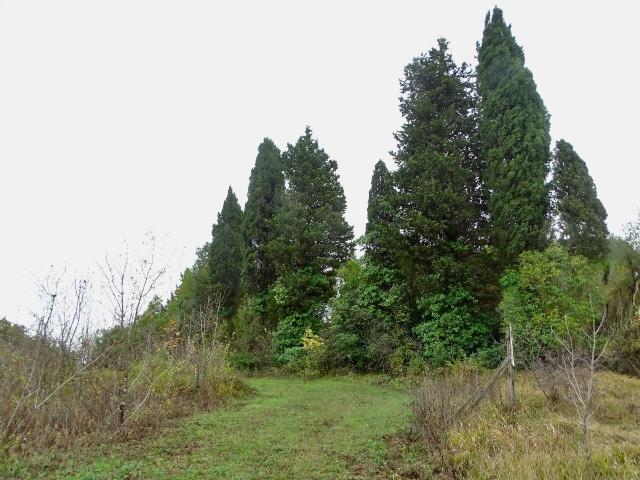 Detached house, San Miniato - Photo 1