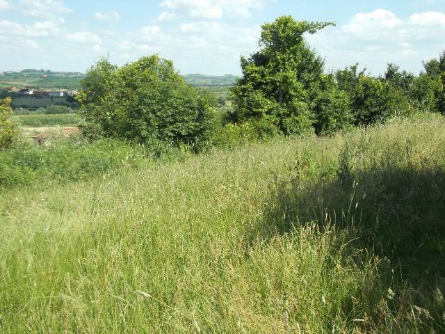 Terreno edificabile residenziale, San Miniato - Foto 1