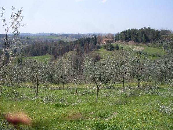 Terreno agricolo in {3}, - Foto 1