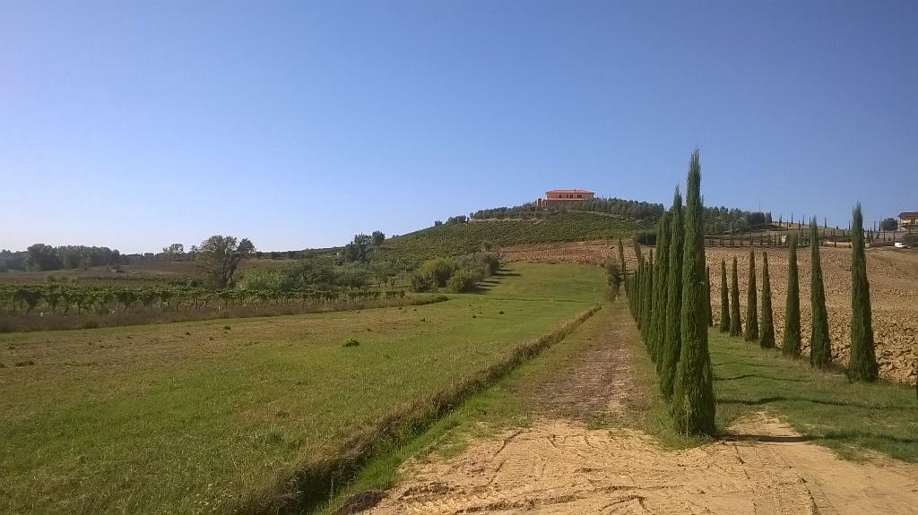 Azienda agricola in , Cerreto Guidi, {3} - Foto 2