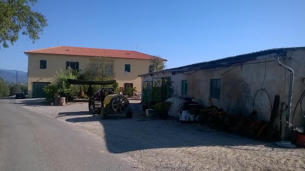 Azienda agricola in vendita a Cerreto Guidi