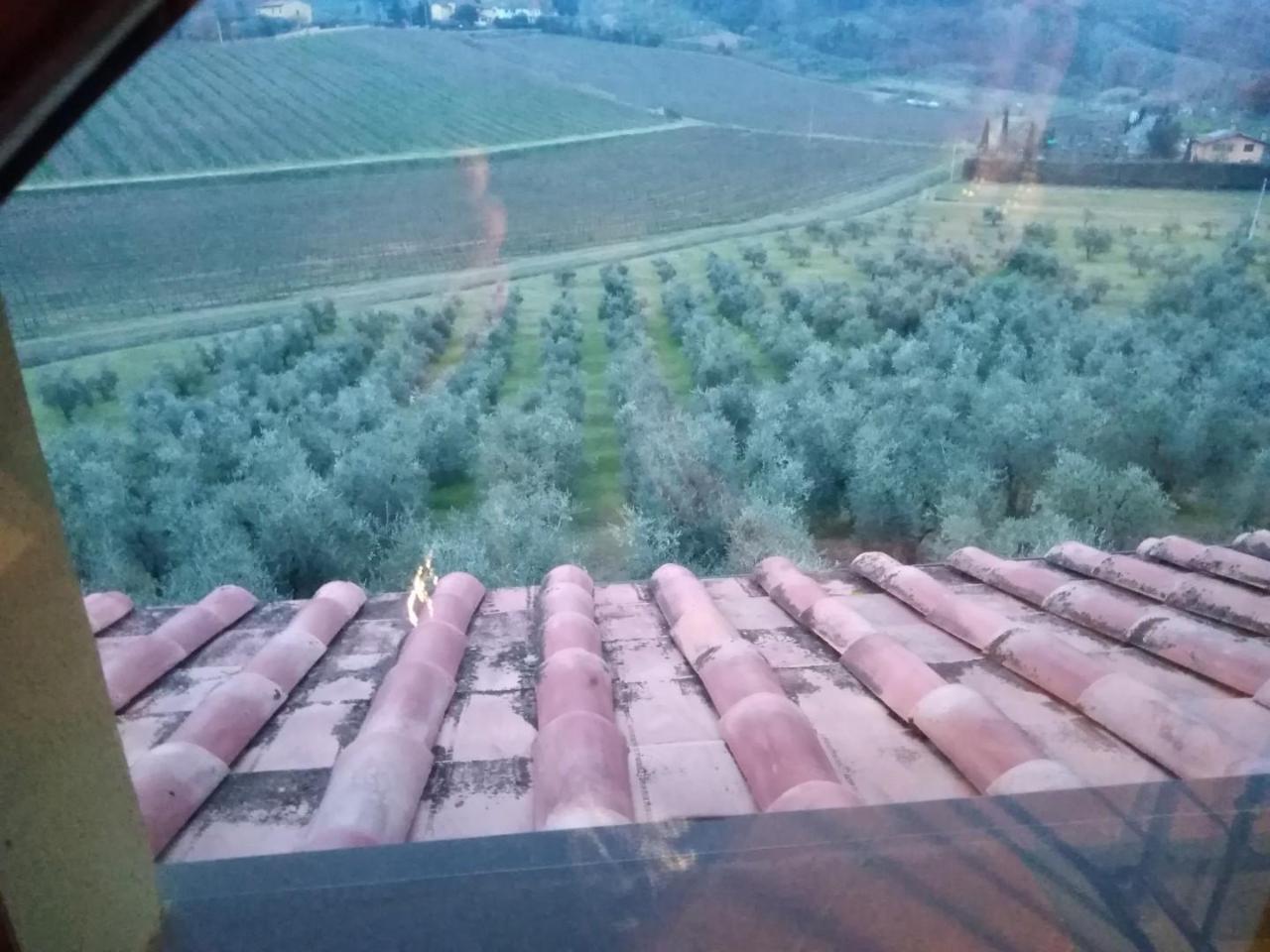 Azienda agricola in , San Miniato, {3} - Foto 2