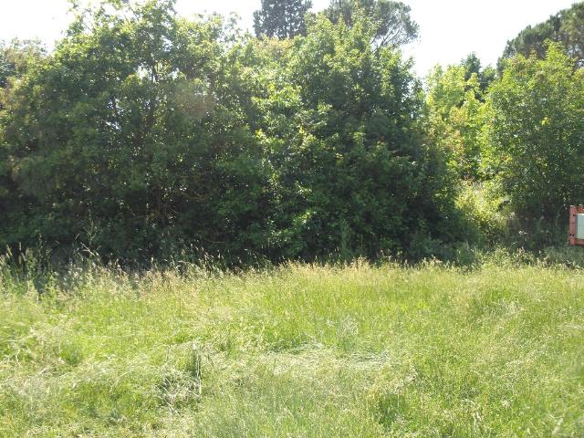 Residential building land, San Miniato - Photo 1