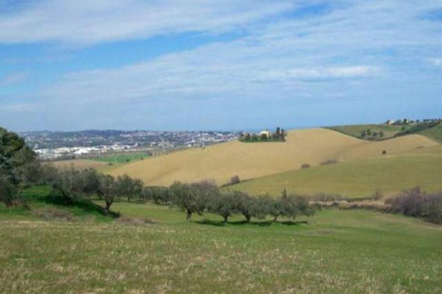 Residenzielles Bauland, San Miniato - Foto 1