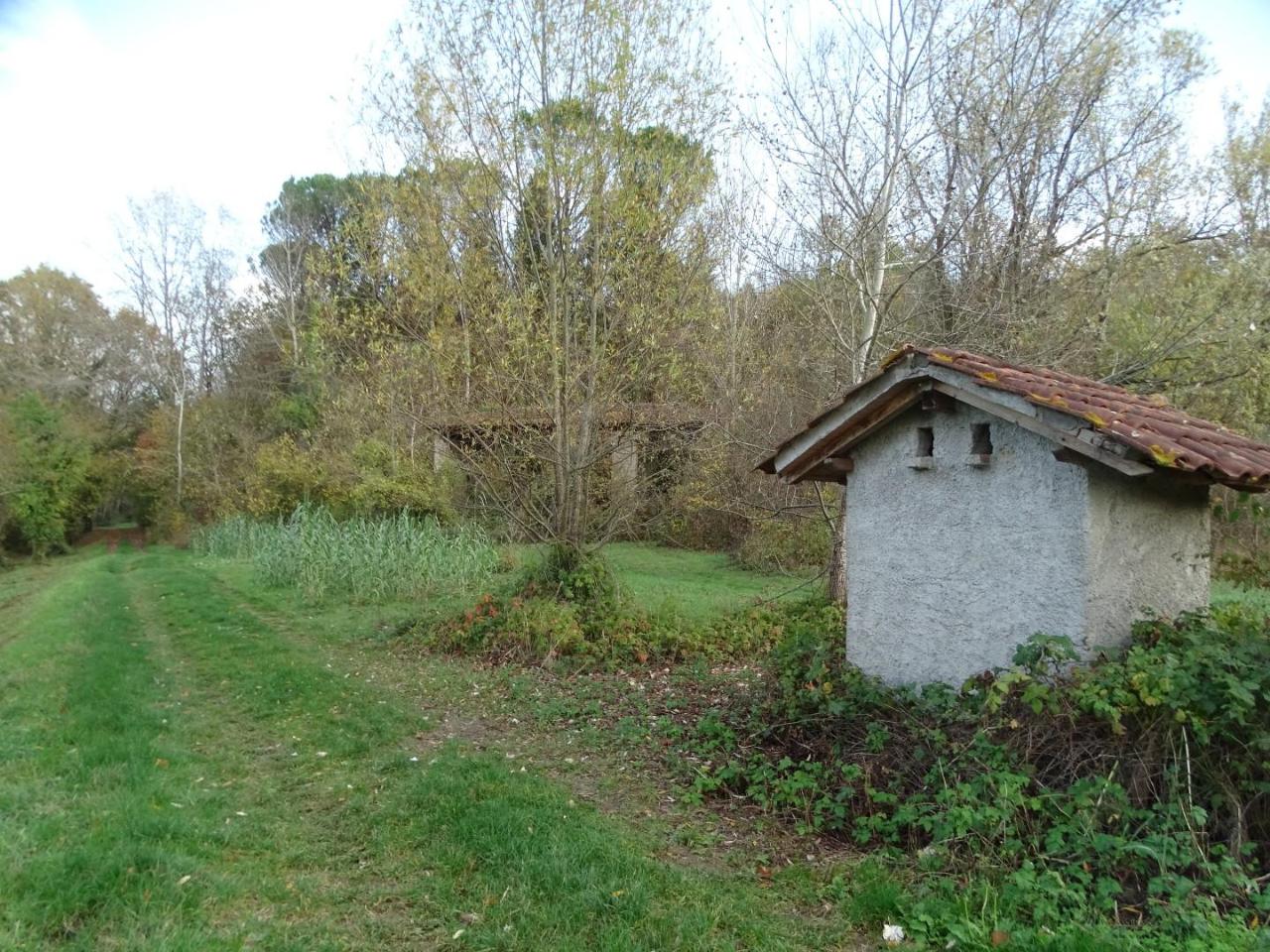immagine annuncio 13 di 15