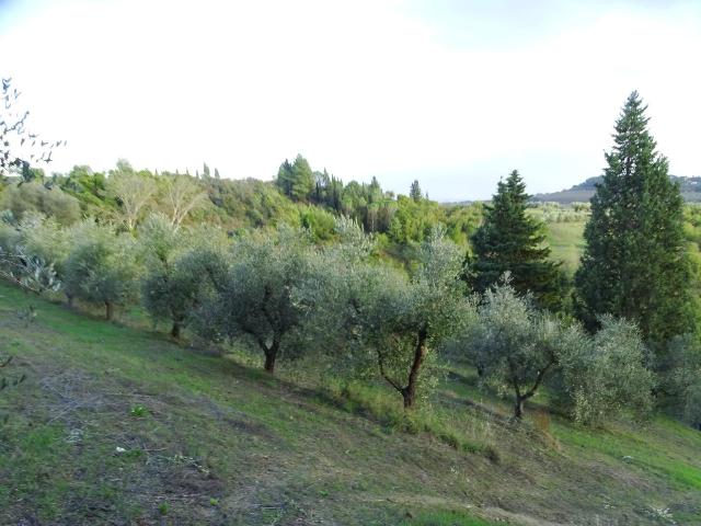 Terreno agricolo in {3}, - Foto 1