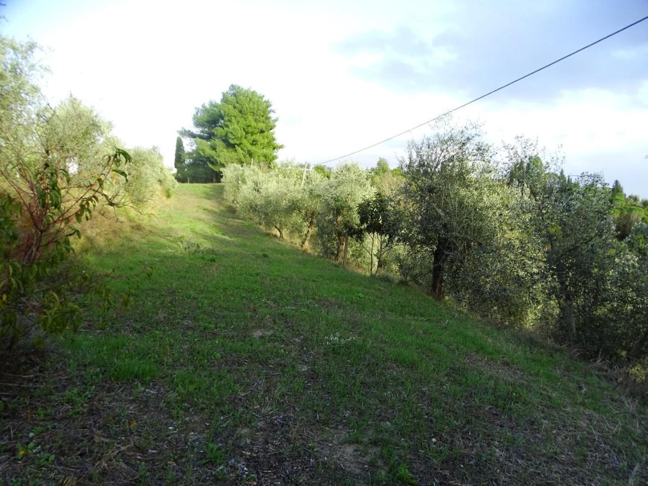 immagine annuncio 6 di 11