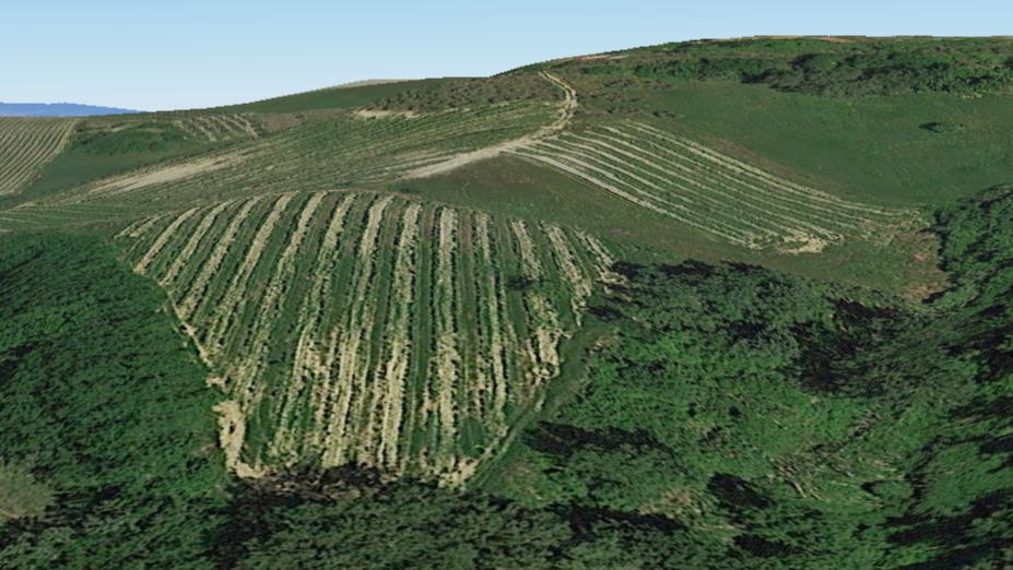 Azienda agricola in , Montaione, {3} - Foto 1