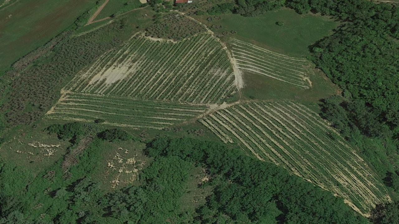 Azienda agricola in , Montaione, {3} - Foto 2