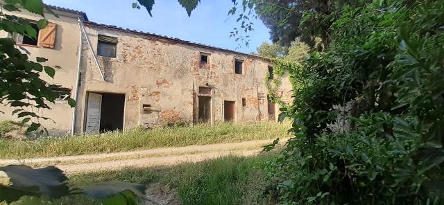 Two-family villa, San Miniato - Photo 1