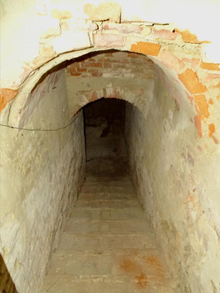 immagine annuncio 9 di 15