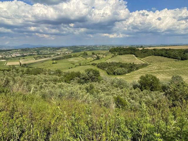 Terreno agricolo in {3}, - Foto 1