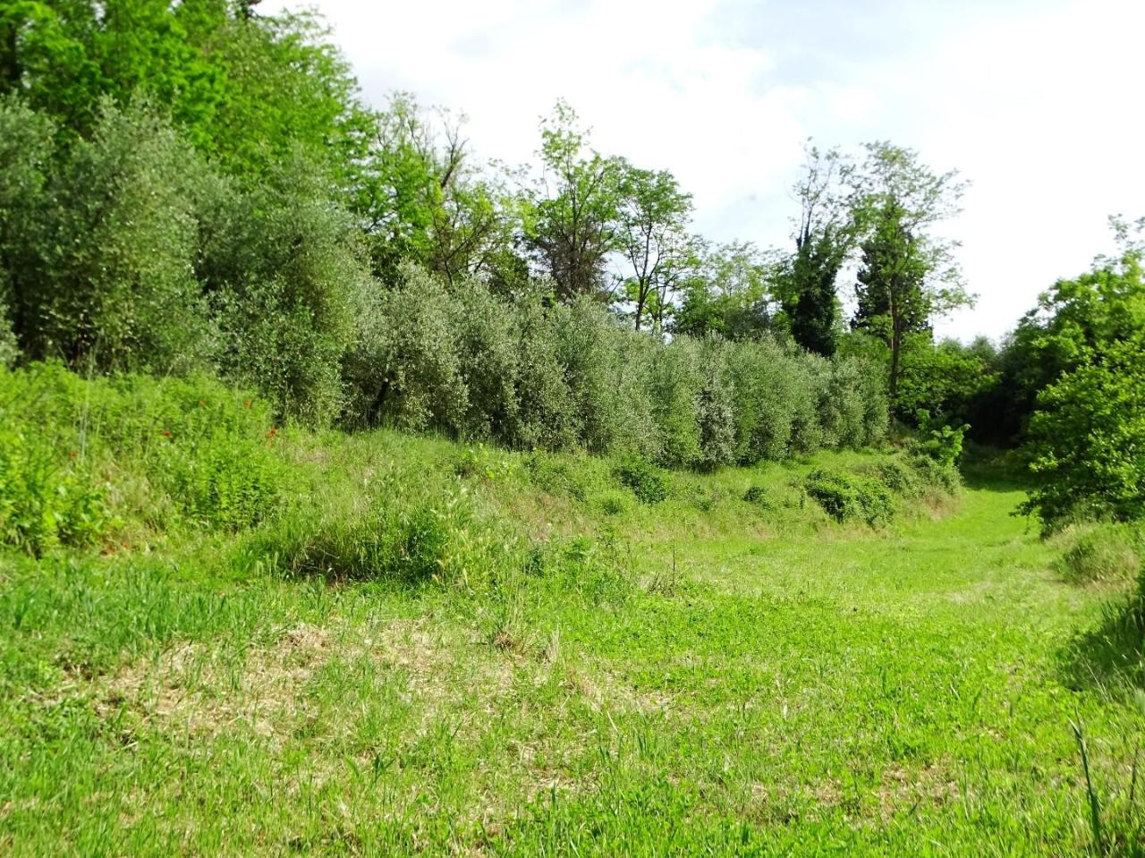 immagine annuncio 7 di 15