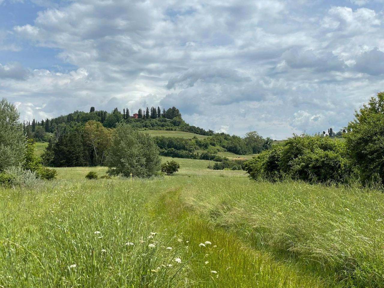 immagine annuncio 12 di 14