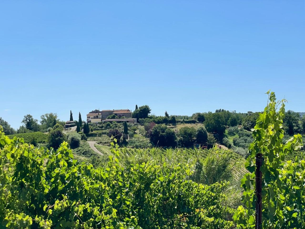 Azienda agricola in , Montaione, {3} - Foto 2