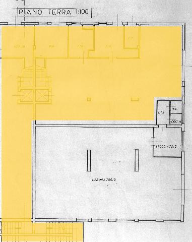 insertion image