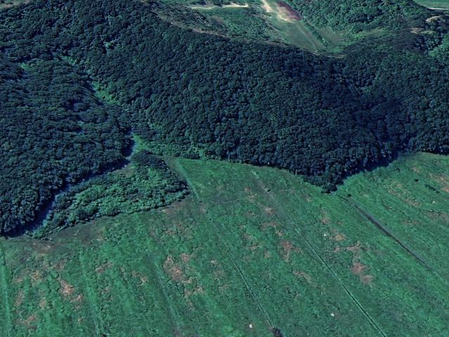 insertion image
