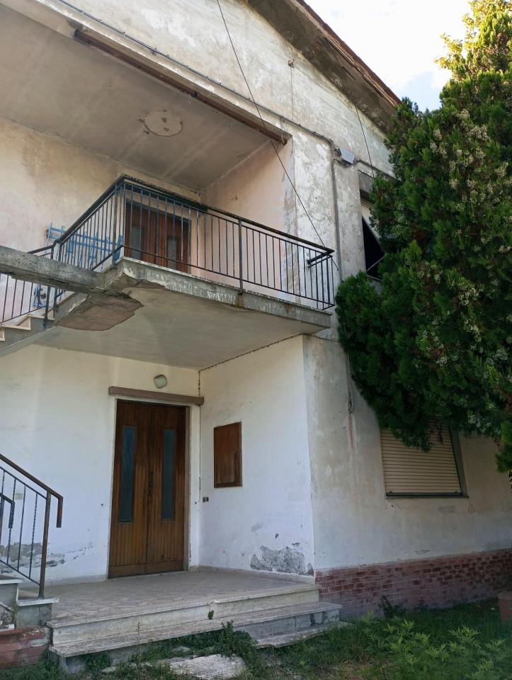 immagine annuncio 2 di 12