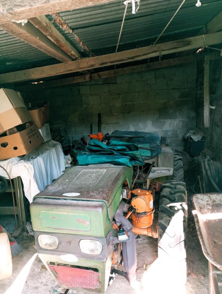 immagine annuncio 12 di 15