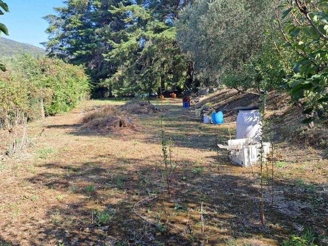 Agricultural land, Livorno - Photo 1