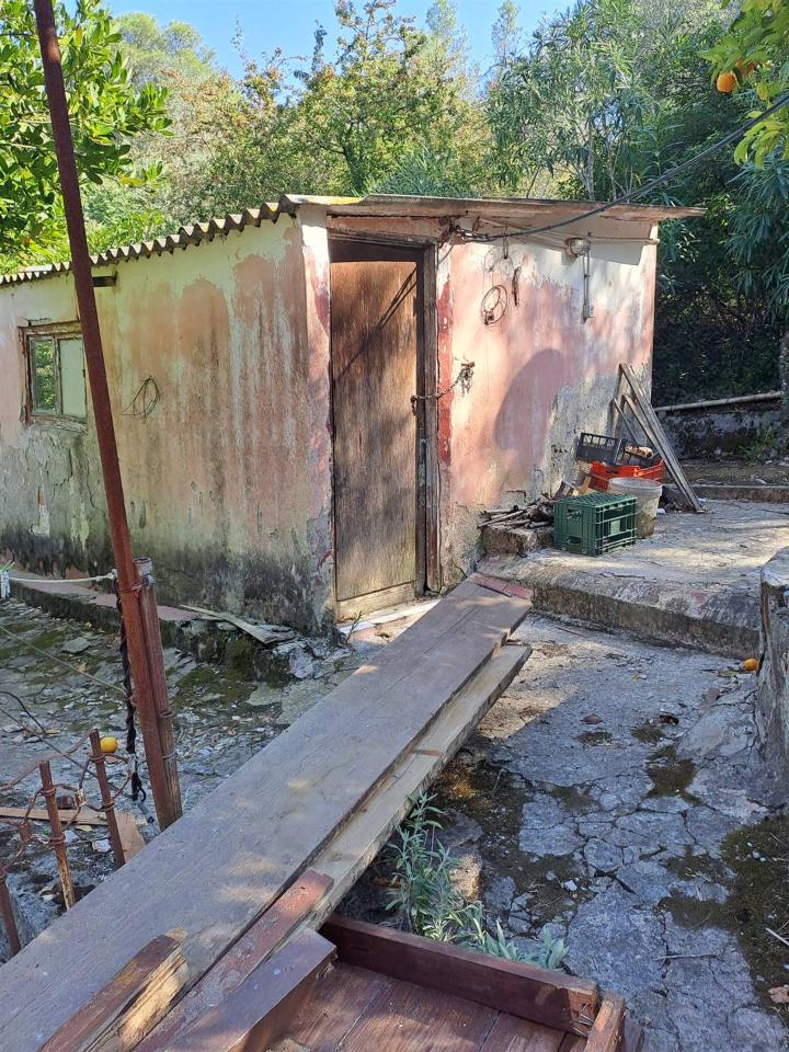 immagine annuncio 6 di 12