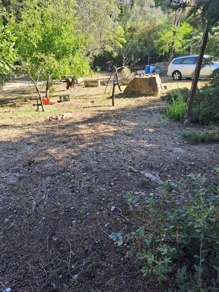 immagine annuncio 9 di 12