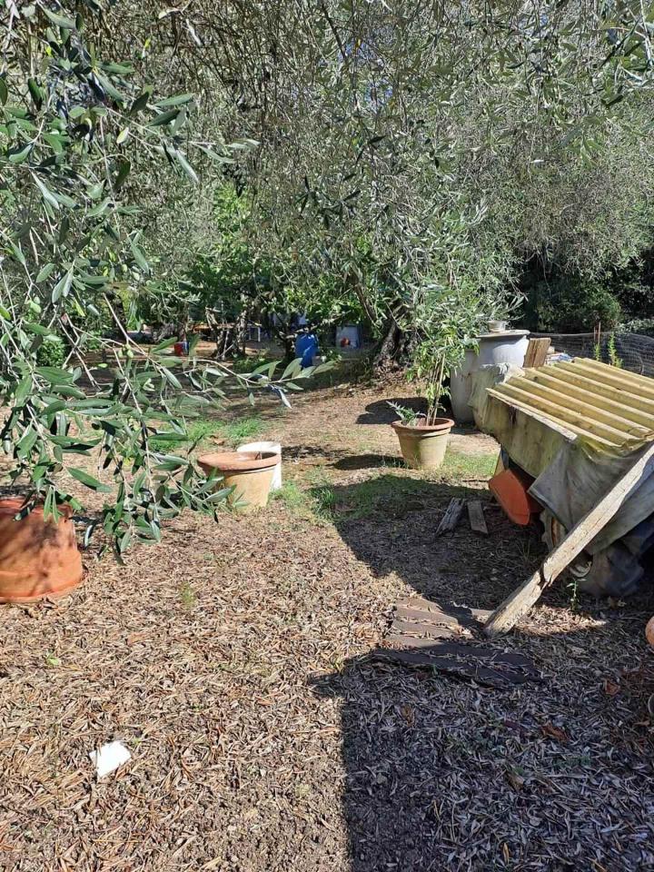 immagine annuncio 10 di 12