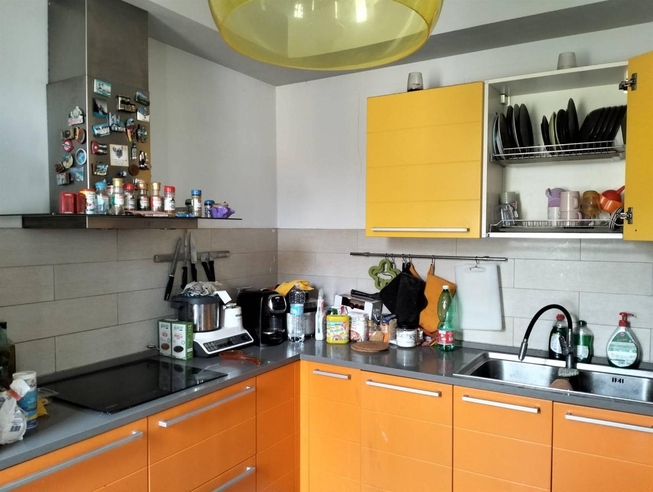 immagine annuncio 2 di 13