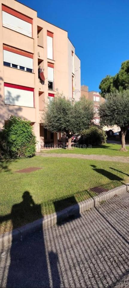 immagine annuncio 3 di 9