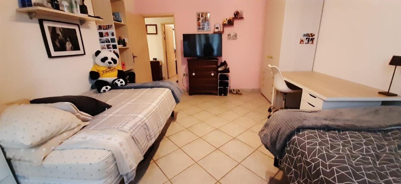 immagine annuncio 10 di 15