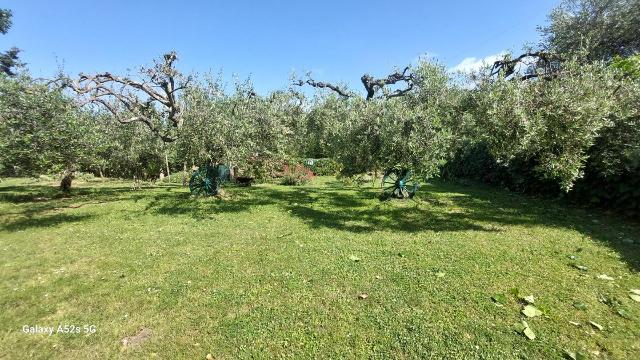 Terreno agricolo in {3}, - Foto 1