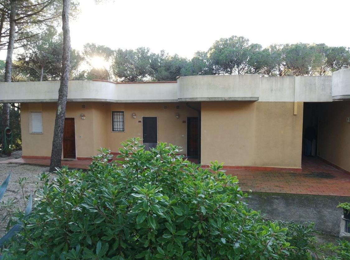 immagine annuncio 3 di 14