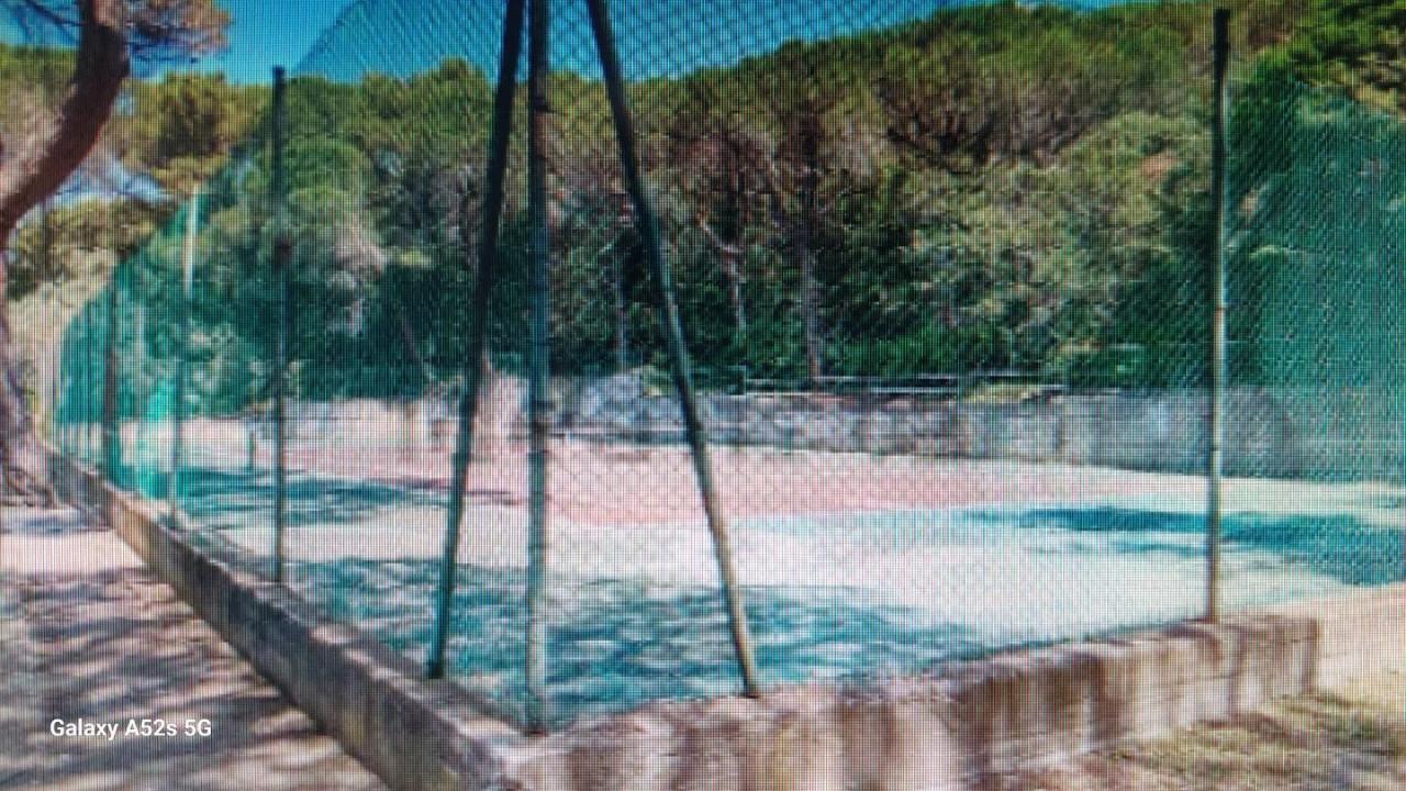 immagine annuncio 11 di 14