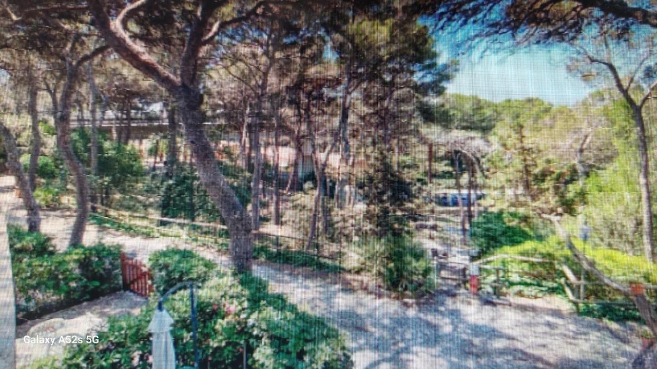 immagine annuncio 10 di 14