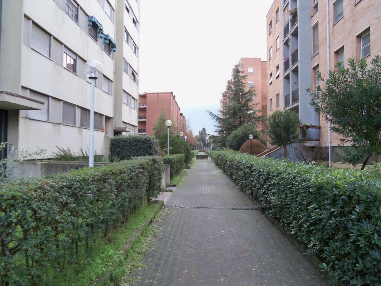 immagine annuncio 12 di 14