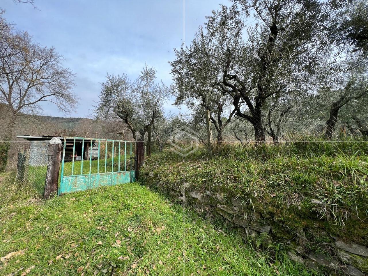 Terreno agricolo in vendita a Lucca