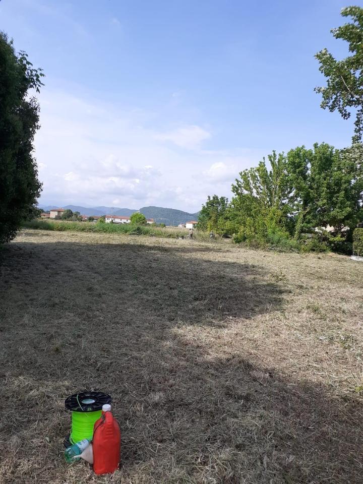 immagine annuncio 1 di 2