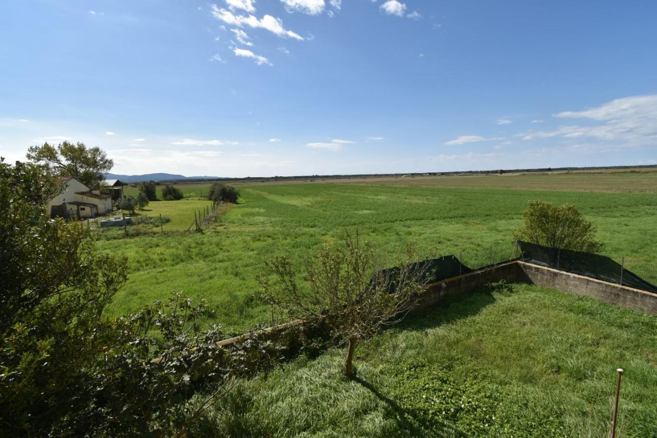 casa indipendente in vendita a Pisa in zona Ospedaletto