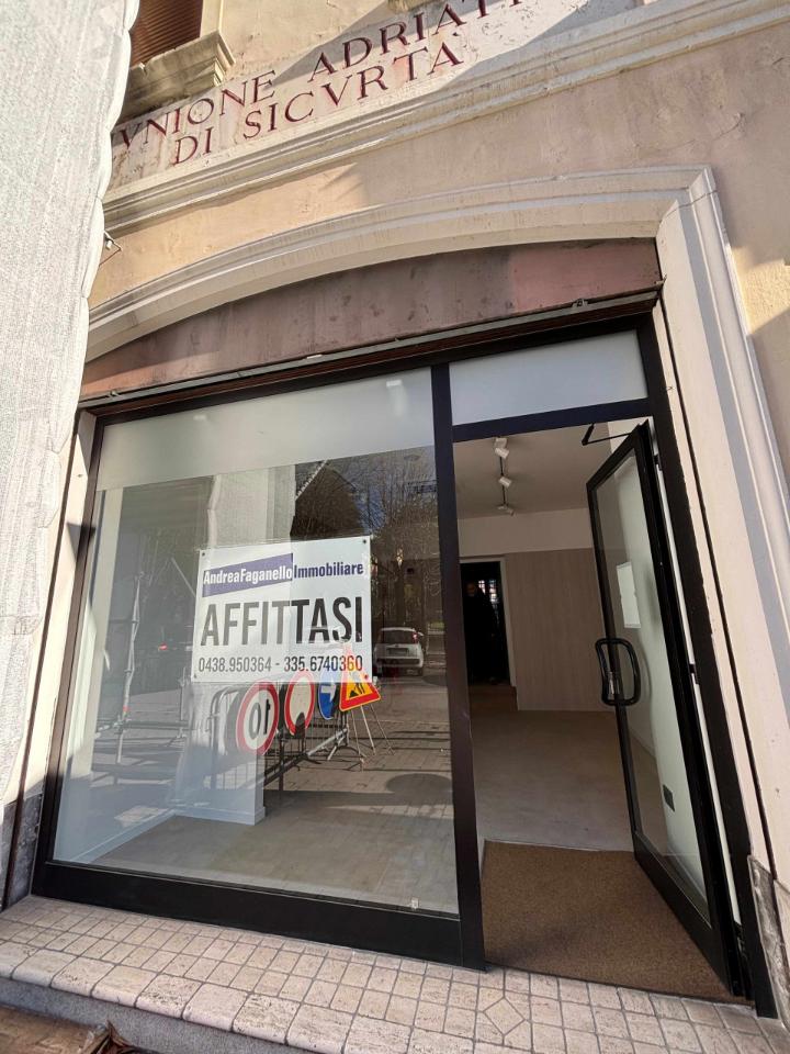 Negozio in Viale della Vittoria N. 231, Vittorio Veneto, {3} - Foto 1