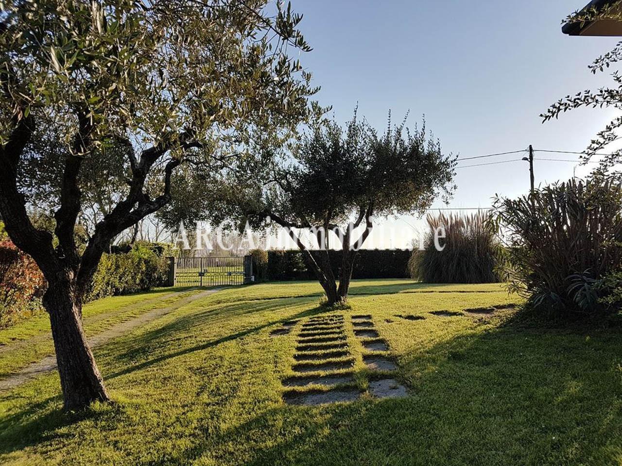 immagine annuncio 5 di 14
