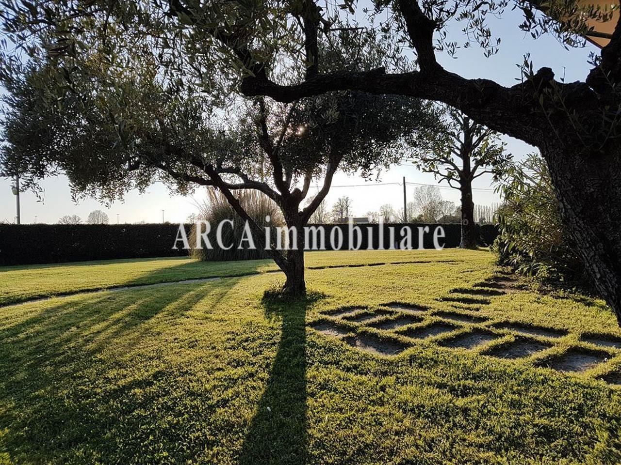 immagine annuncio 6 di 14