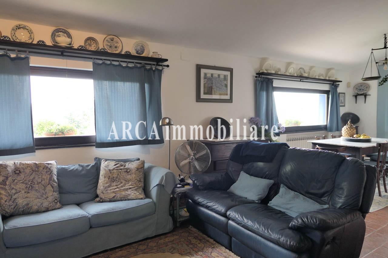 immagine annuncio 3 di 14