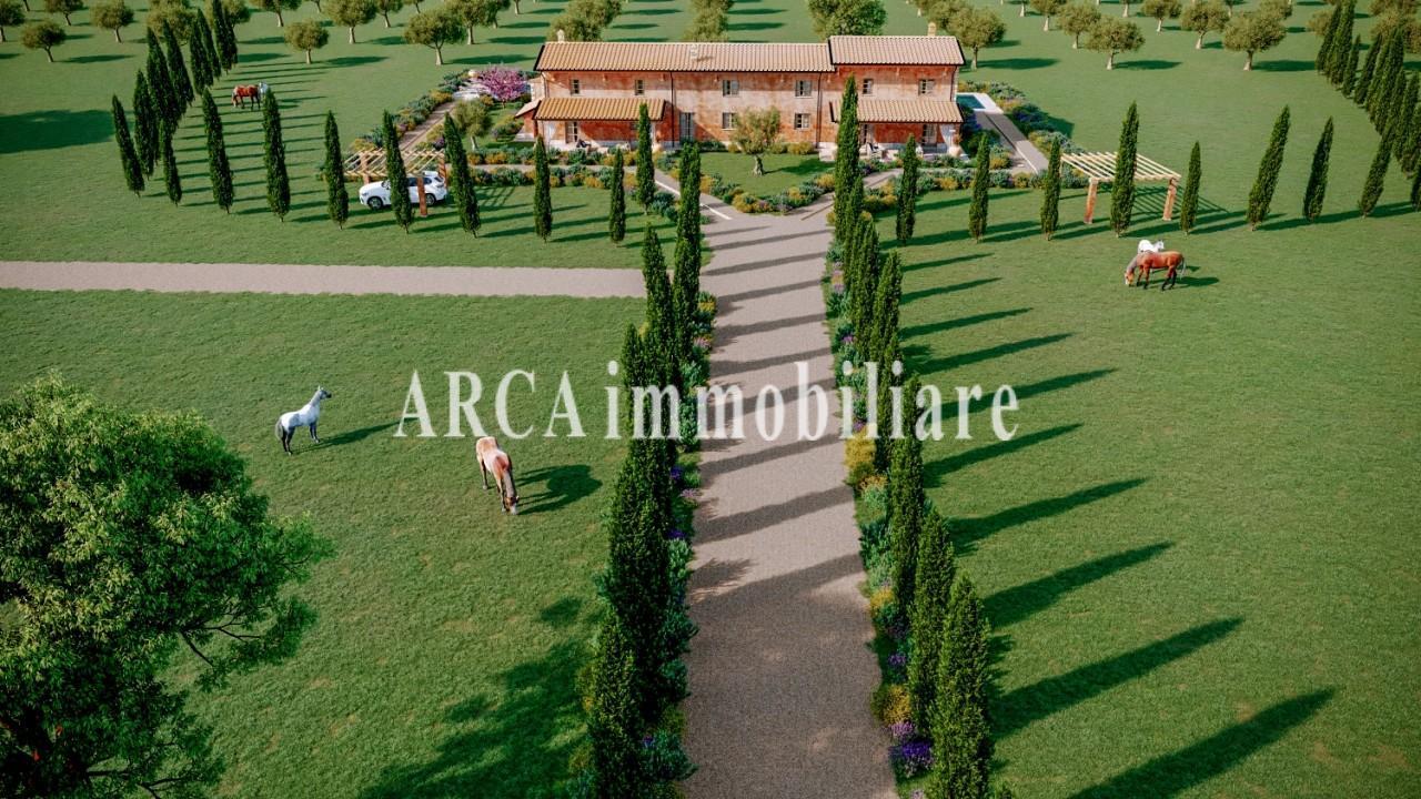 immagine annuncio 4 di 8