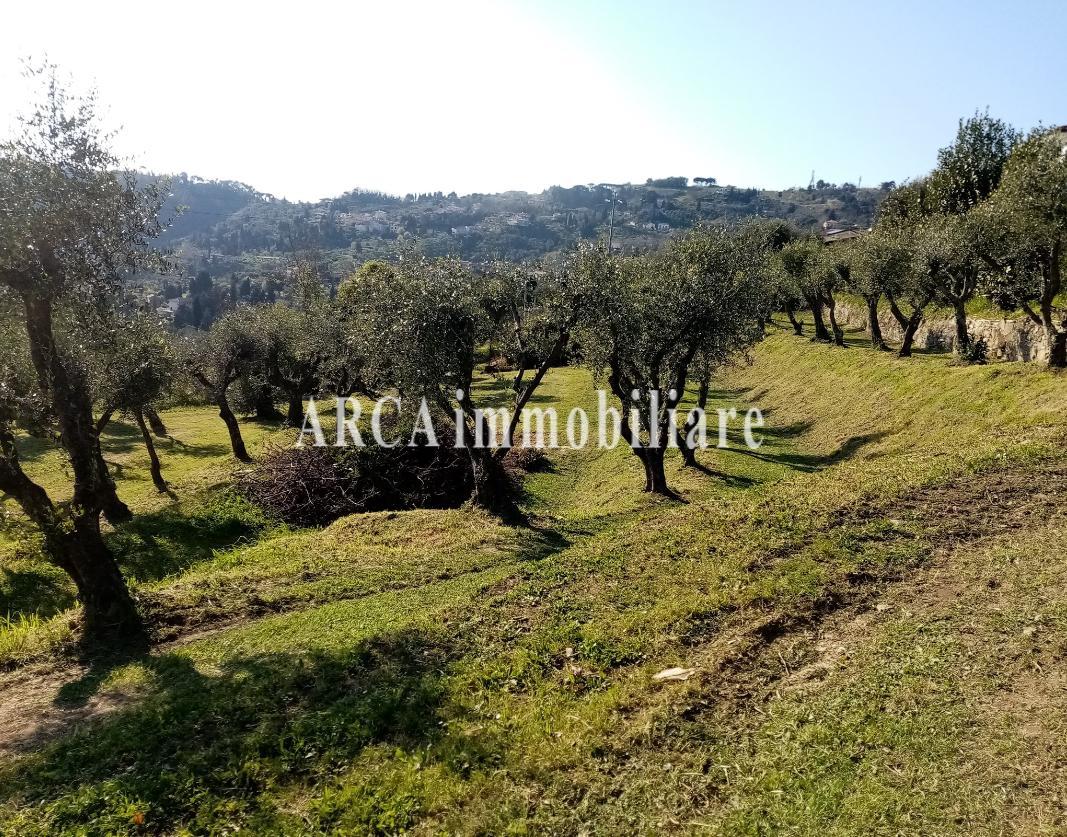 immagine annuncio 3 di 7